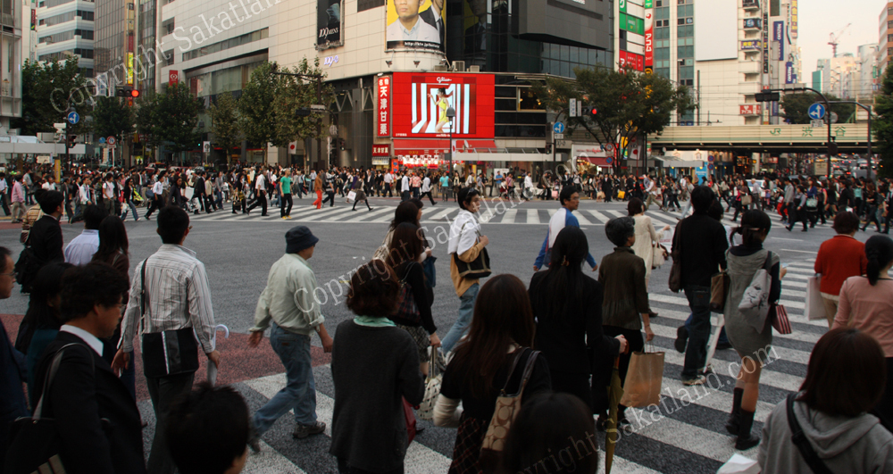 Shibuya_3.jpg