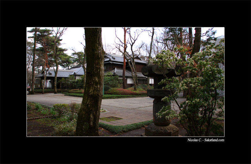 Dav_Day5_3D.gif